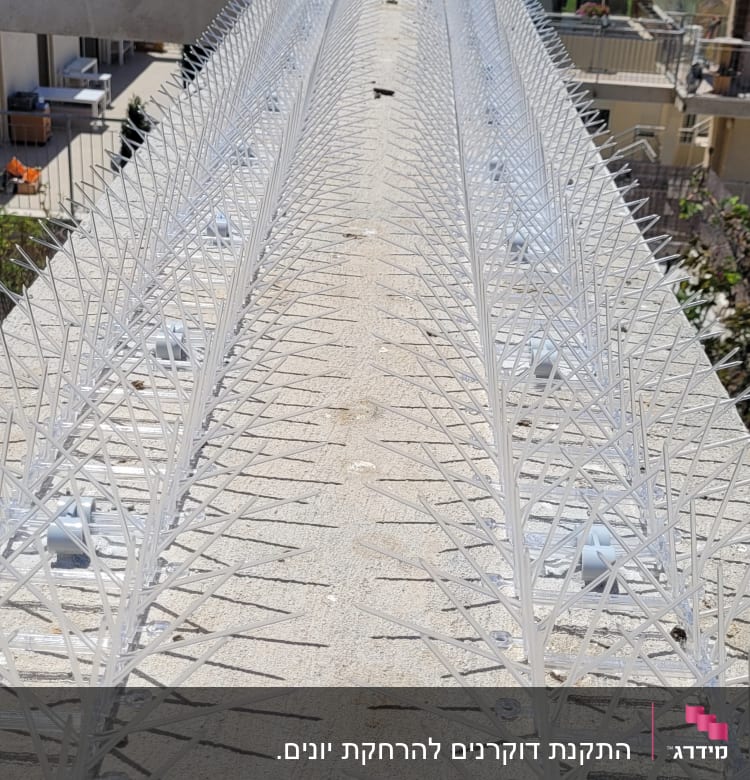 דוקרנים למניעת יונים על גג בטון